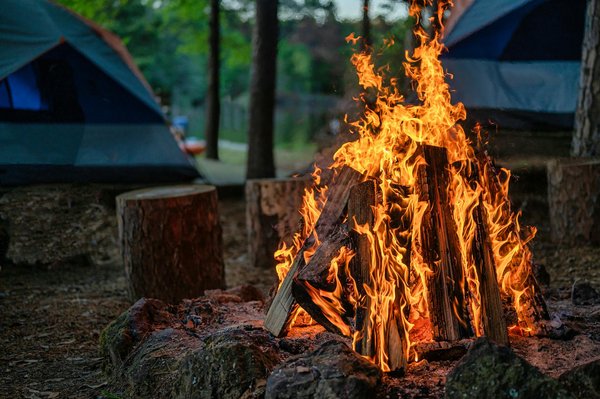 Comment se rendre à un camping écologique sans polluer ?